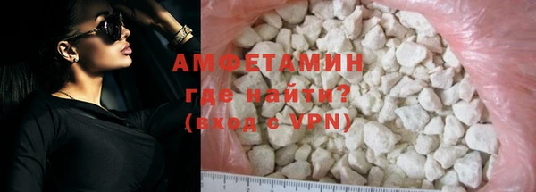 прущие грибы Балабаново