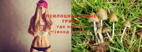 mdpv Балахна