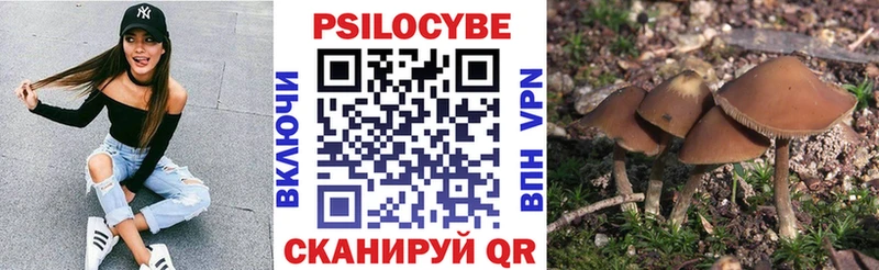 Псилоцибиновые грибы Psilocybe  Купить  Надым 